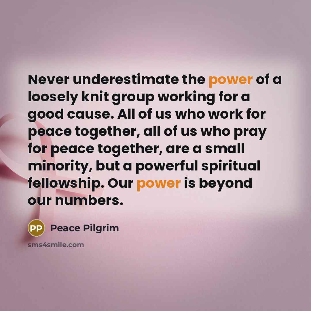 “Never underestimate the power of a loosely knit group working…” quote by Peace Pilgrim