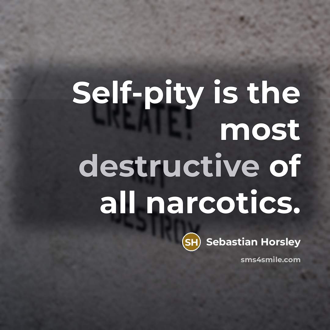 “Self-pity is the most destructive of all narcotics.” quote by Sebastian Horsley