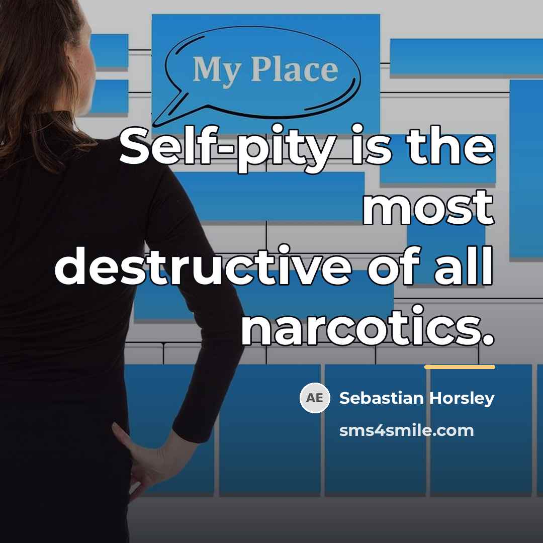 “Self-pity is the most destructive of all narcotics.…” quote by Sebastian Horsley