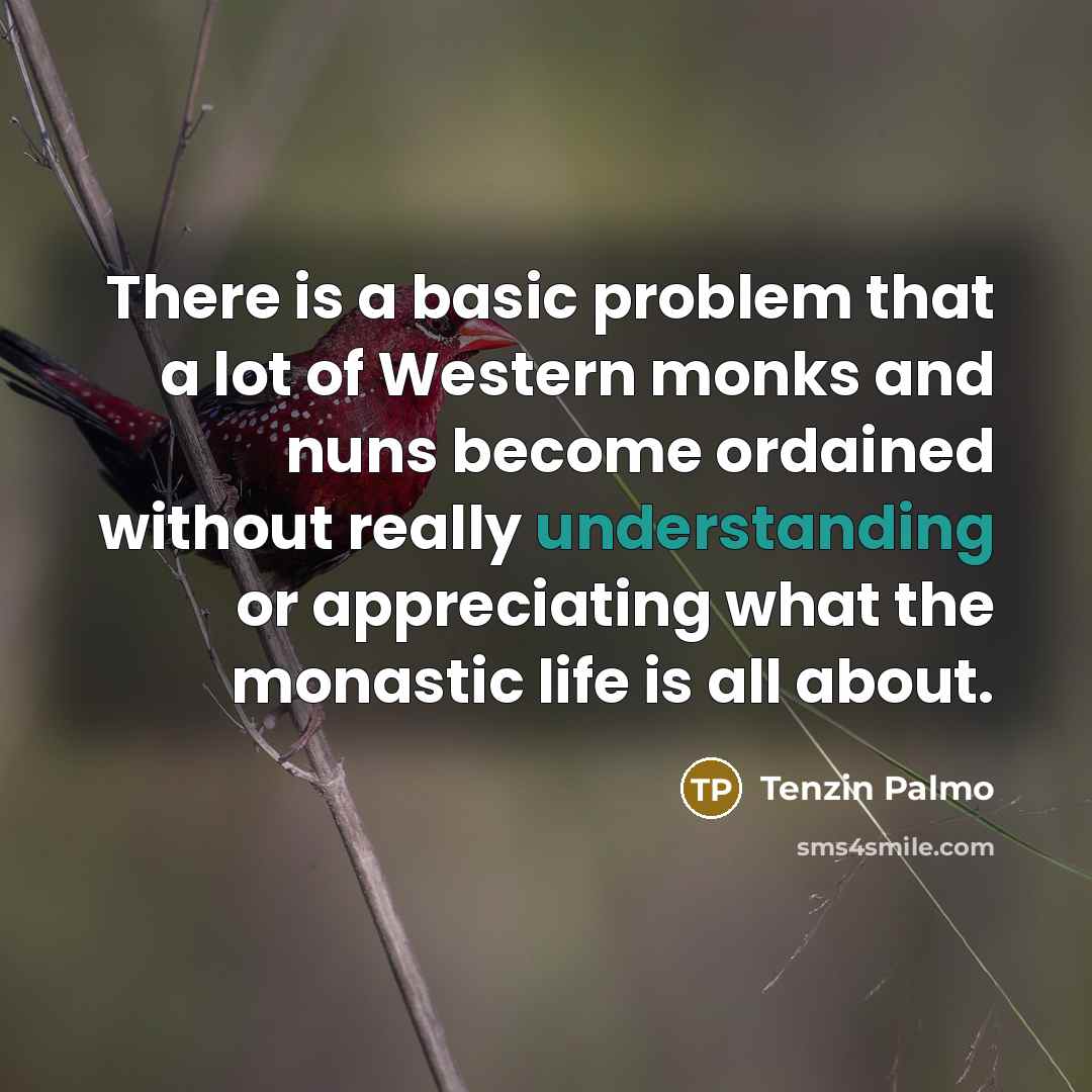 “There is a basic problem that a lot of Western…” quote by Tenzin Palmo