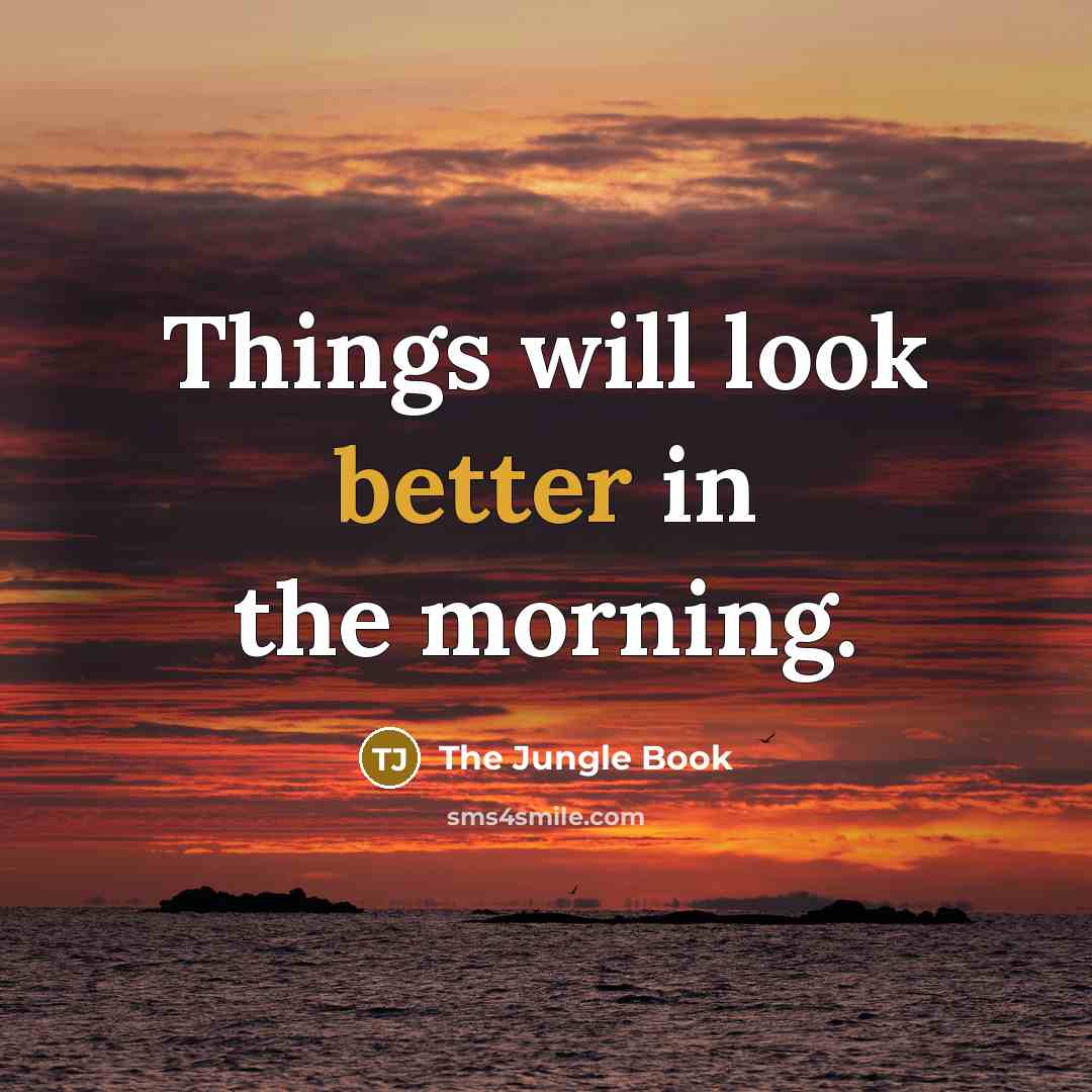 “Things will look better in the morning.” quote by The Jungle Book
