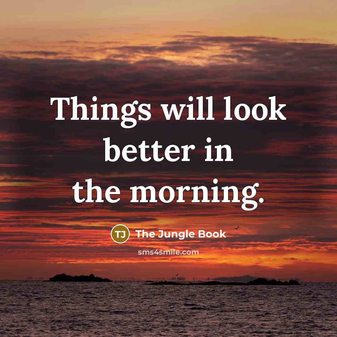 “Things will look better in the morning.” quote by The Jungle Book