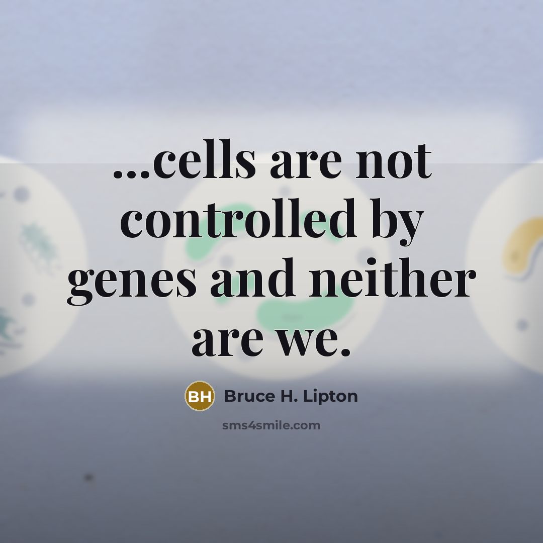 “...cells are not controlled by genes and neither are we.…” quote by Bruce H. Lipton