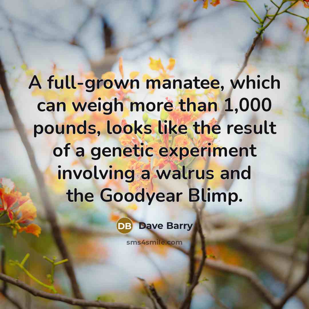 “A full-grown manatee, which can weigh more than 1,000 pounds,…” quote by Dave Barry