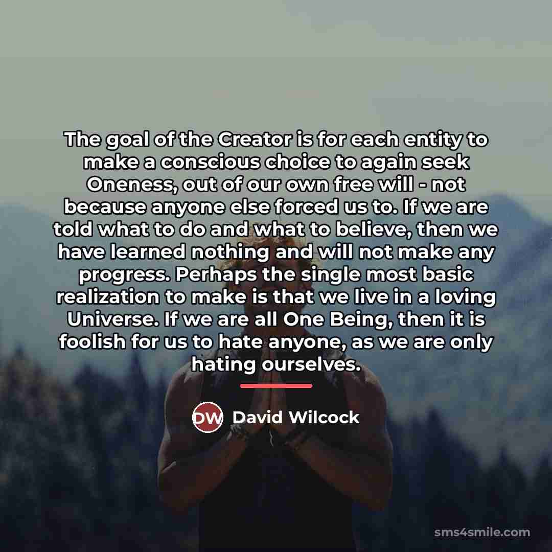 “The goal of the Creator is for each entity to…” quote by David Wilcock