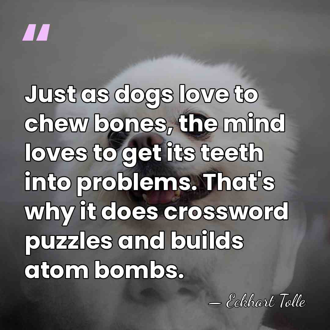 Just as dogs love to chew bones, the mind loves to get&hellip; - Eckhart Tolle