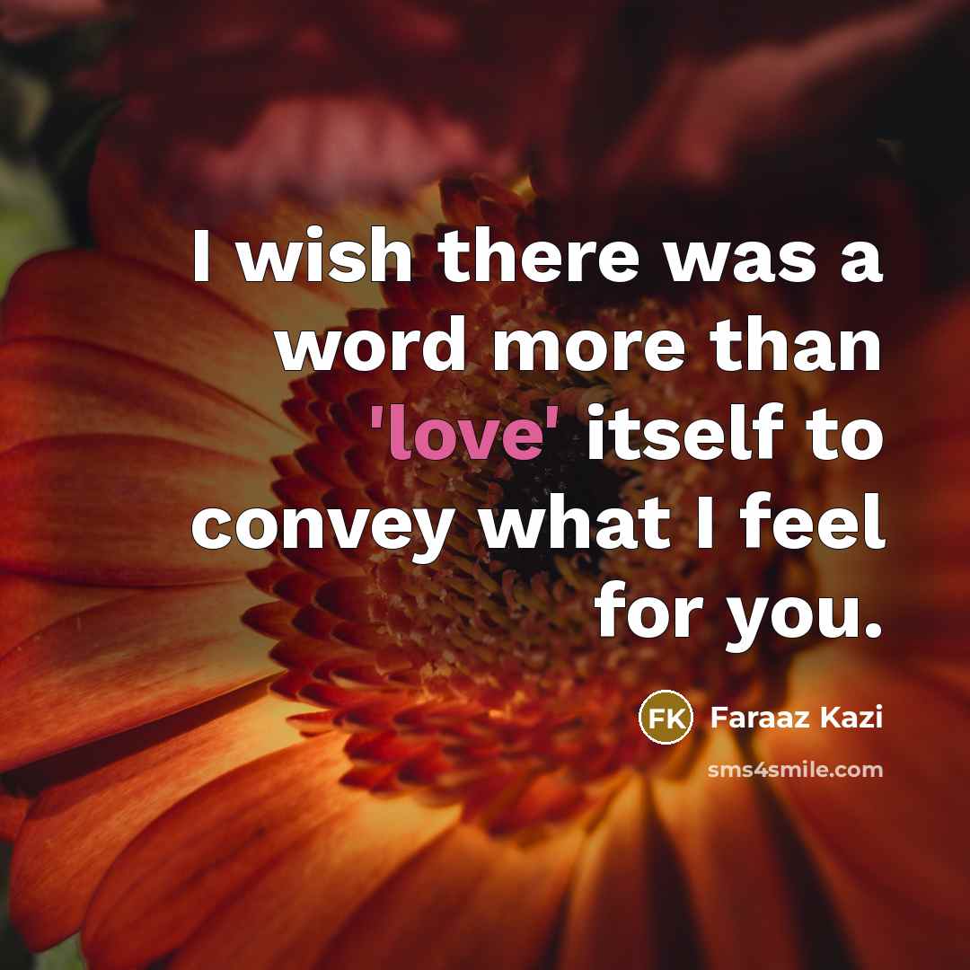 “I wish there was a word more than 'love' itself…” quote by Faraaz Kazi