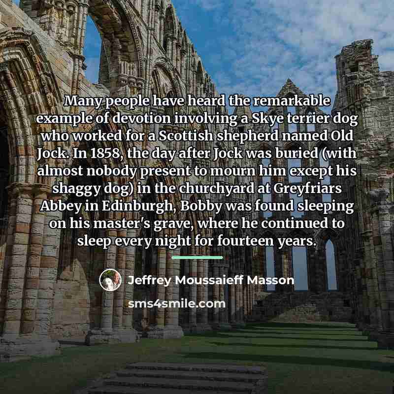 “Many people have heard the remarkable example of devotion involving…” quote by Jeffrey Moussaieff Masson