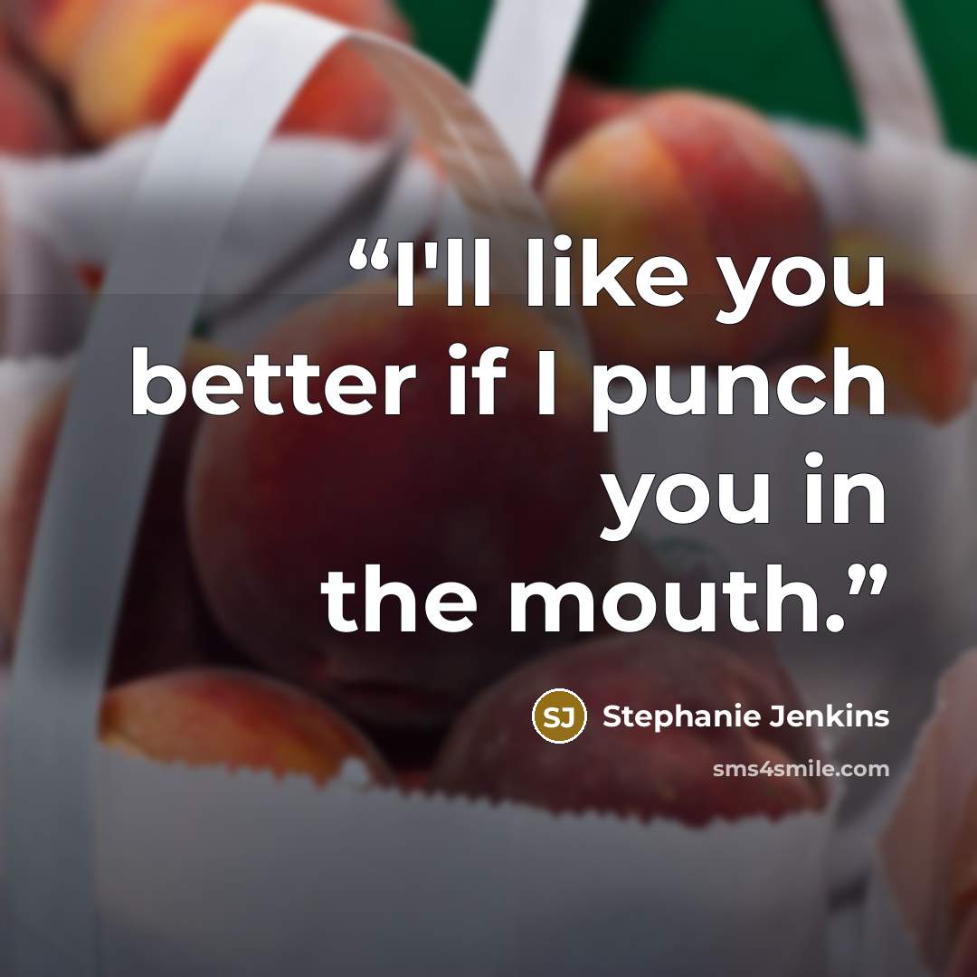 “I'll like you better if I punch you in the mouth.” quote by Stephanie Jenkins