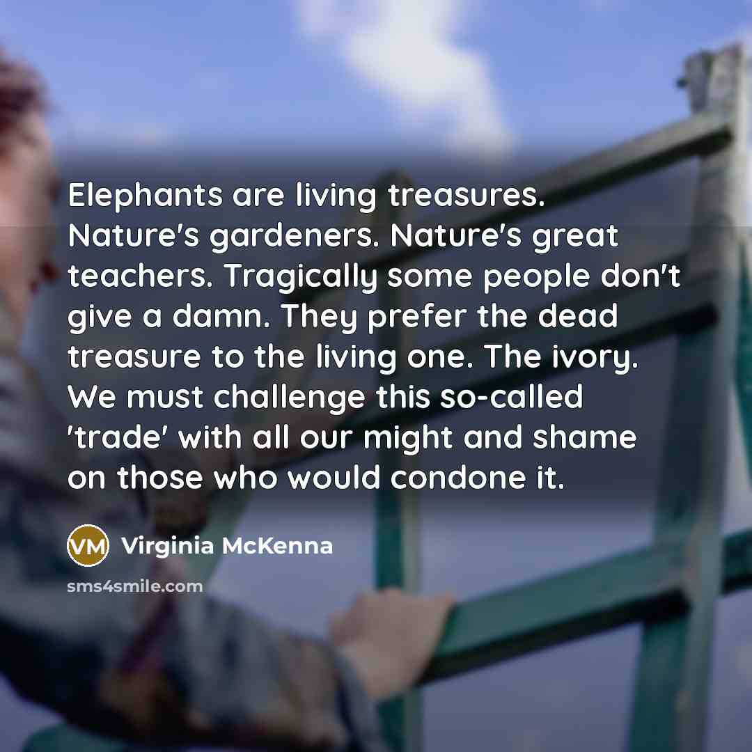 “Elephants are living treasures. Nature's gardeners. Nature's great teachers. Tragically…” quote by Virginia McKenna
