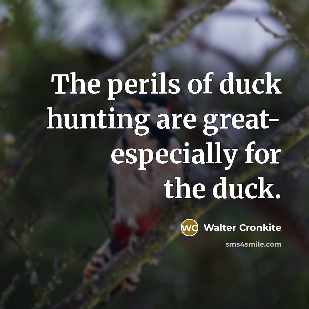 “The perils of duck hunting are great- especially for the duck.” quote by Walter Cronkite