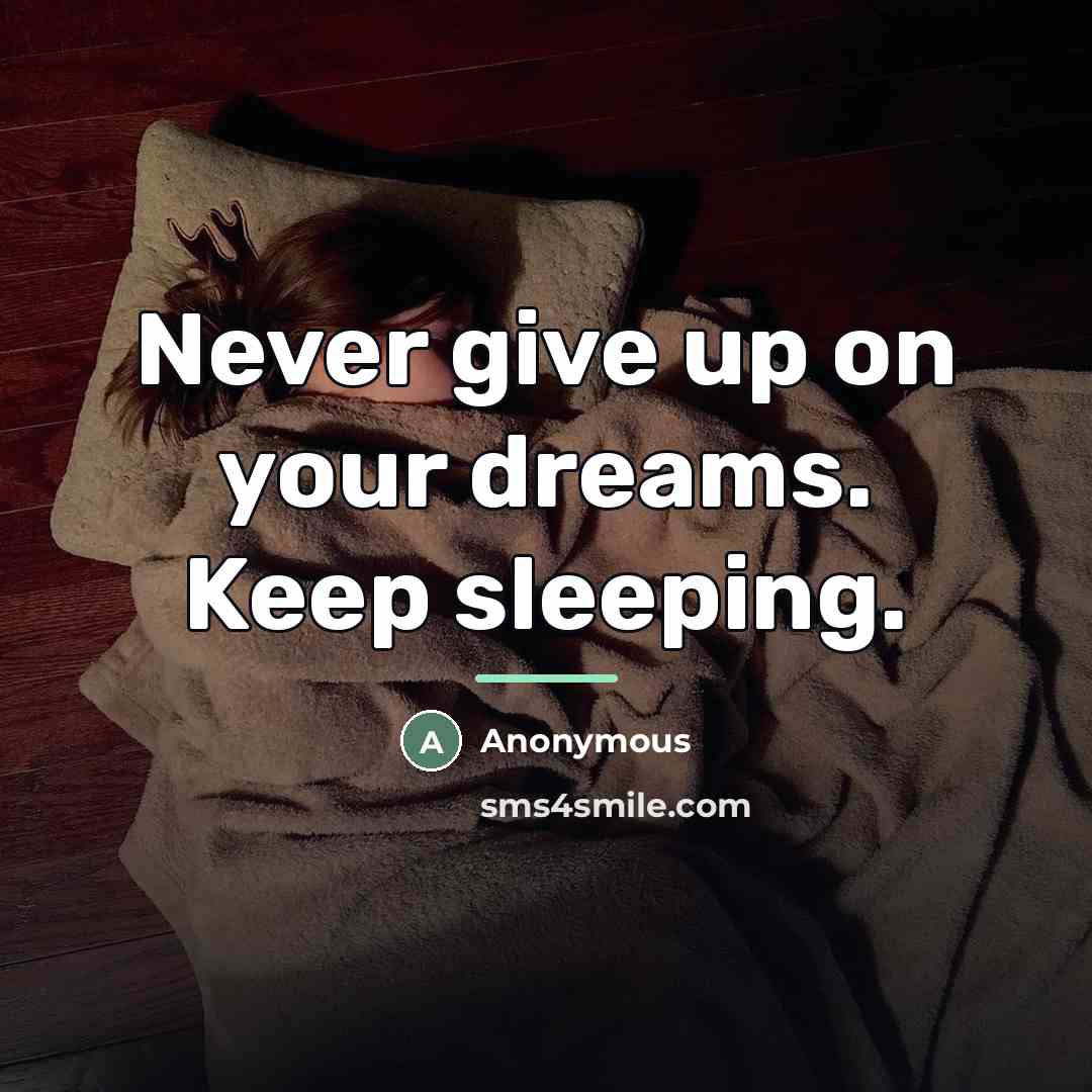 “Never give up on your dreams. Keep sleeping.…” quote by Anonymous
