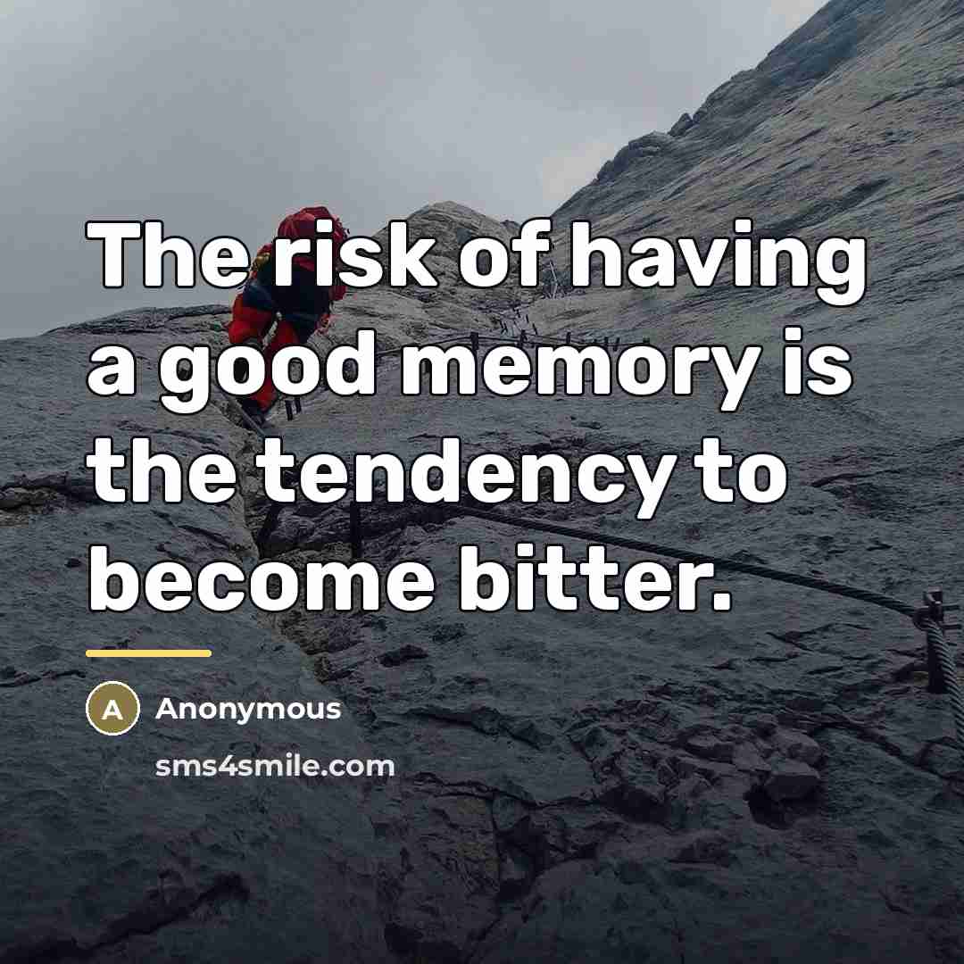 “The risk of having a good memory is the tendency…” quote by Anonymous