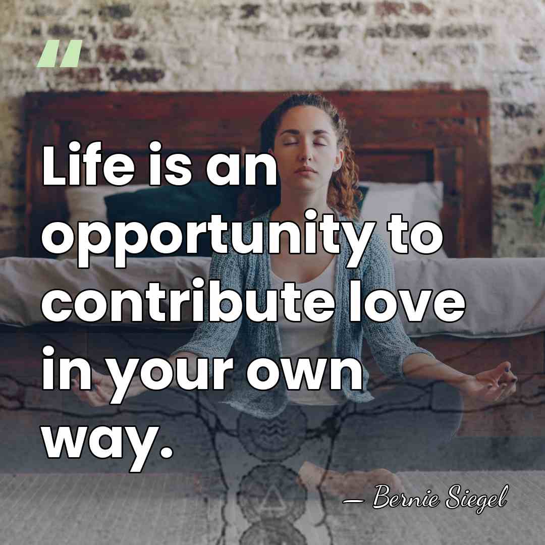 Life is an opportunity to contribute love in your own way. - Bernie Siegel