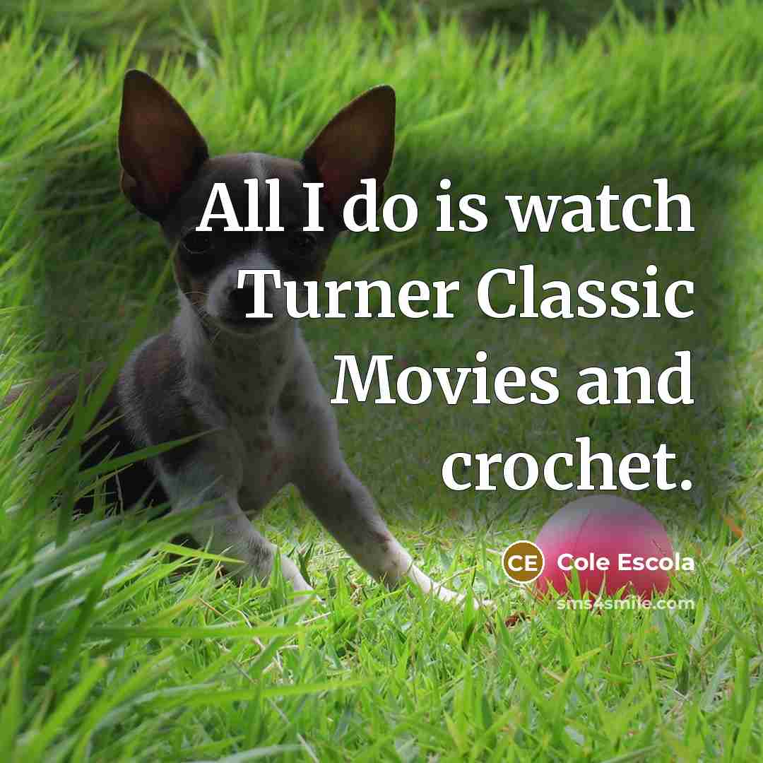 “All I do is watch Turner Classic Movies and crochet.…” quote by Cole Escola