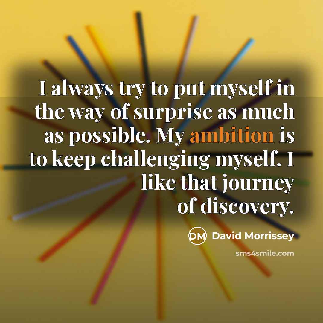 “I always try to put myself in the way of…” quote by David Morrissey