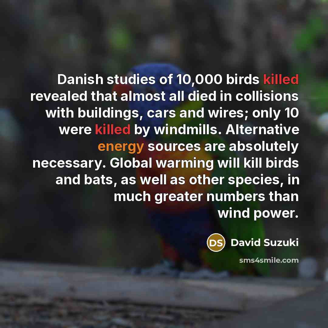 “Danish studies of 10,000 birds killed revealed that almost all…” quote by David Suzuki