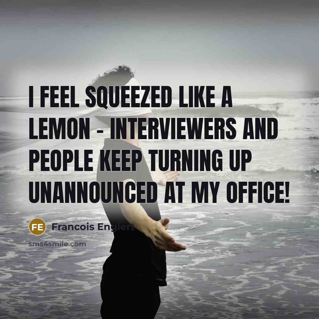 “I feel squeezed like a lemon - interviewers and people…” quote by Francois Englert