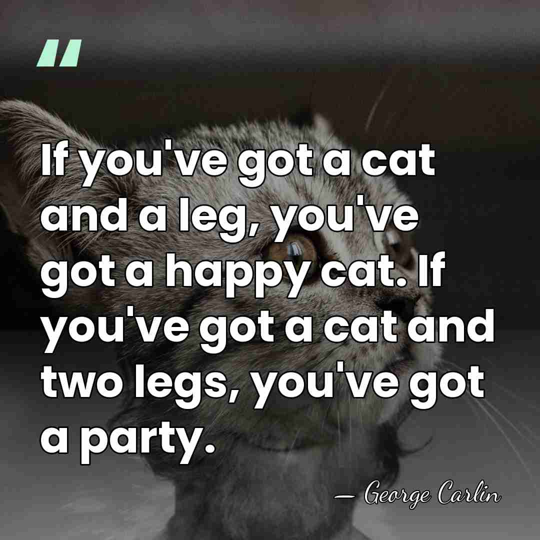 If you've got a cat and a leg, you've got a happy&hellip; - George Carlin