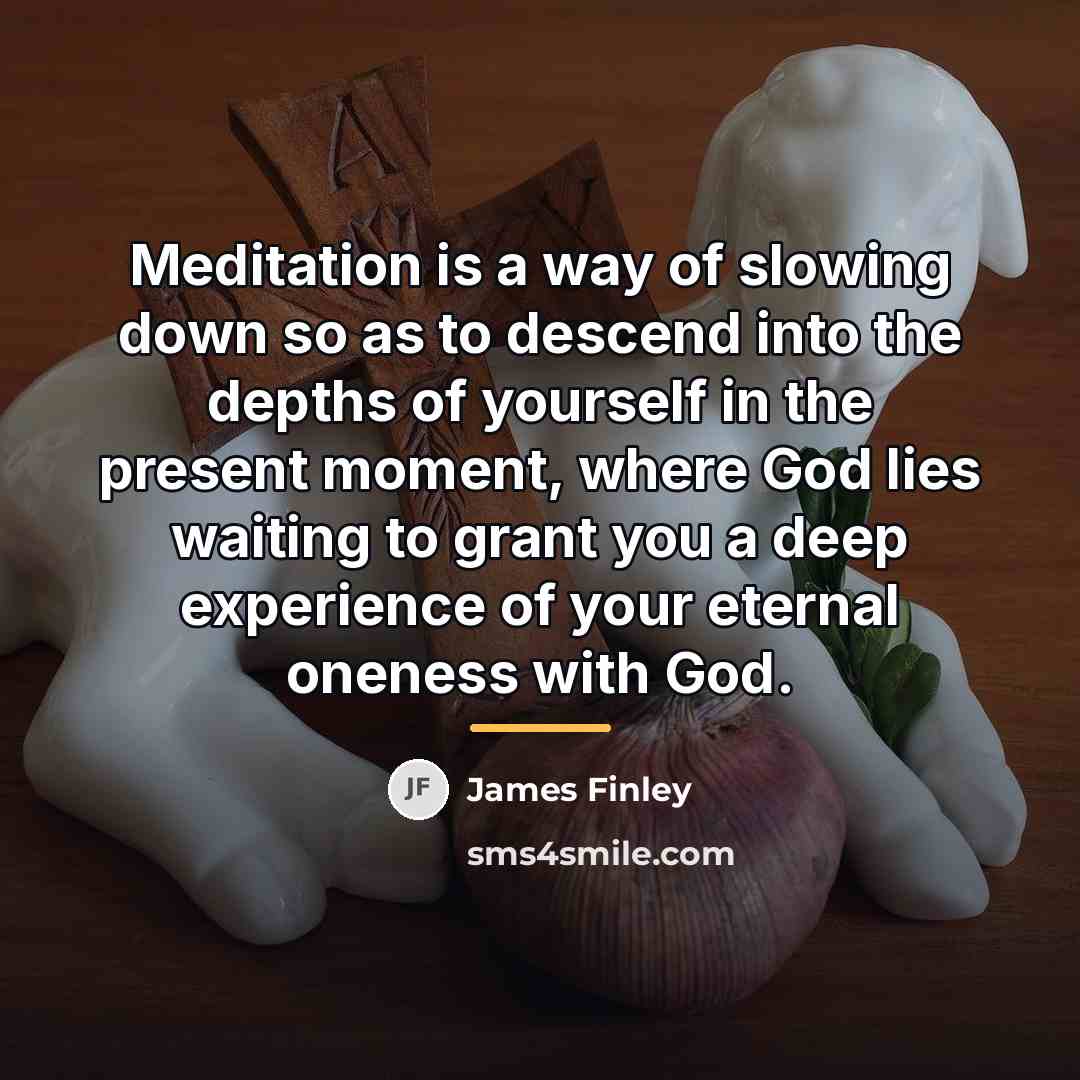 “Meditation is a way of slowing down so as to…” quote by James Finley
