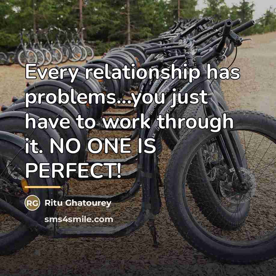 “Every relationship has problems...you just have to work through it.…” quote by Ritu Ghatourey