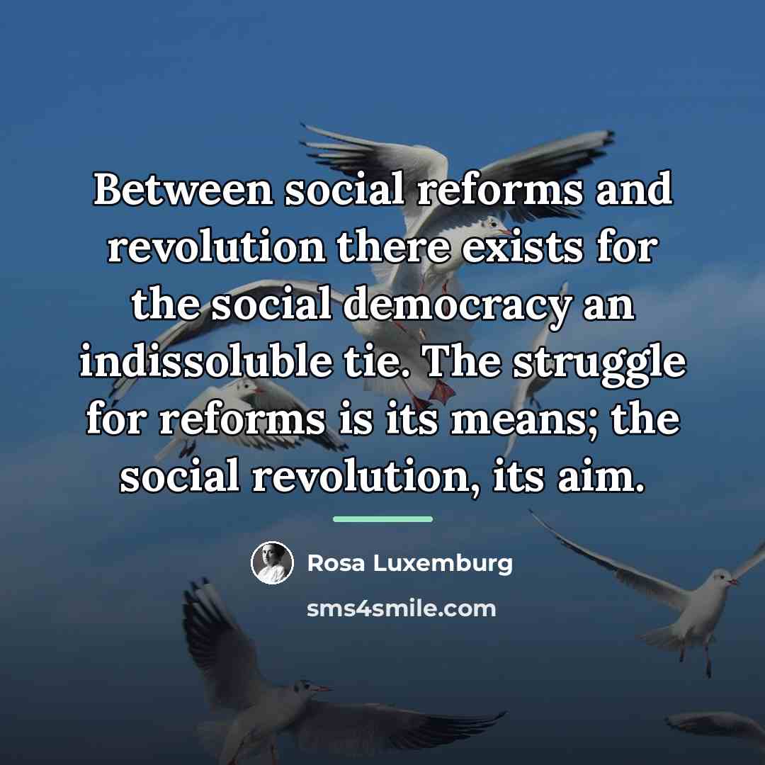 “Between social reforms and revolution there exists for the social…” quote by Rosa Luxemburg