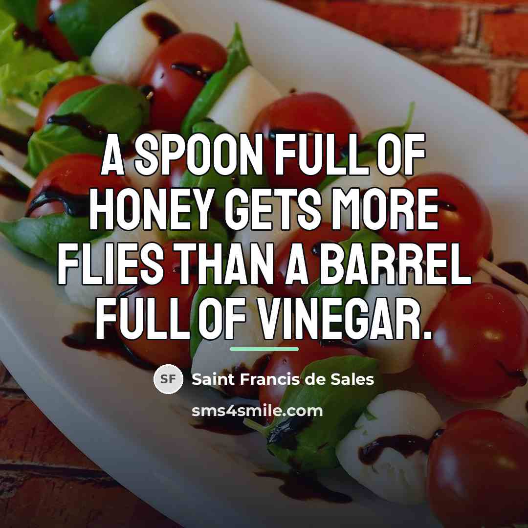 “A spoon full of honey gets more flies than a…” quote by Saint Francis de Sales