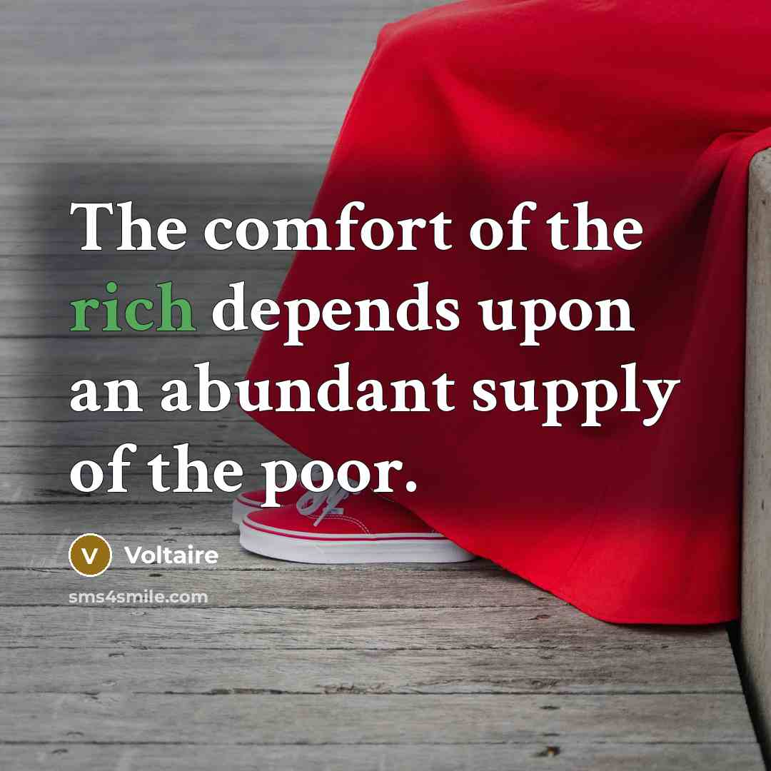 “The comfort of the rich depends upon an abundant supply…” quote by Voltaire