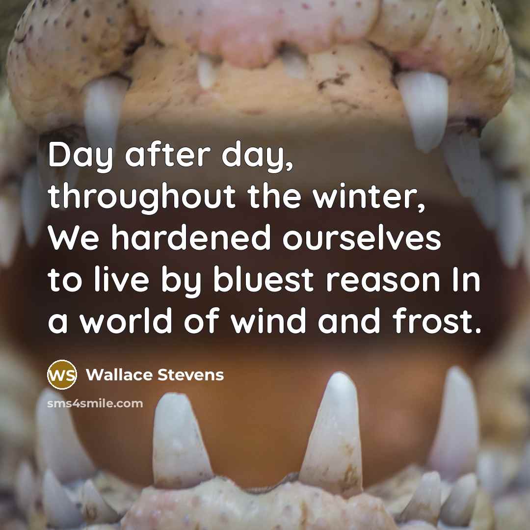“Day after day, throughout the winter, We hardened ourselves to…” quote by Wallace Stevens