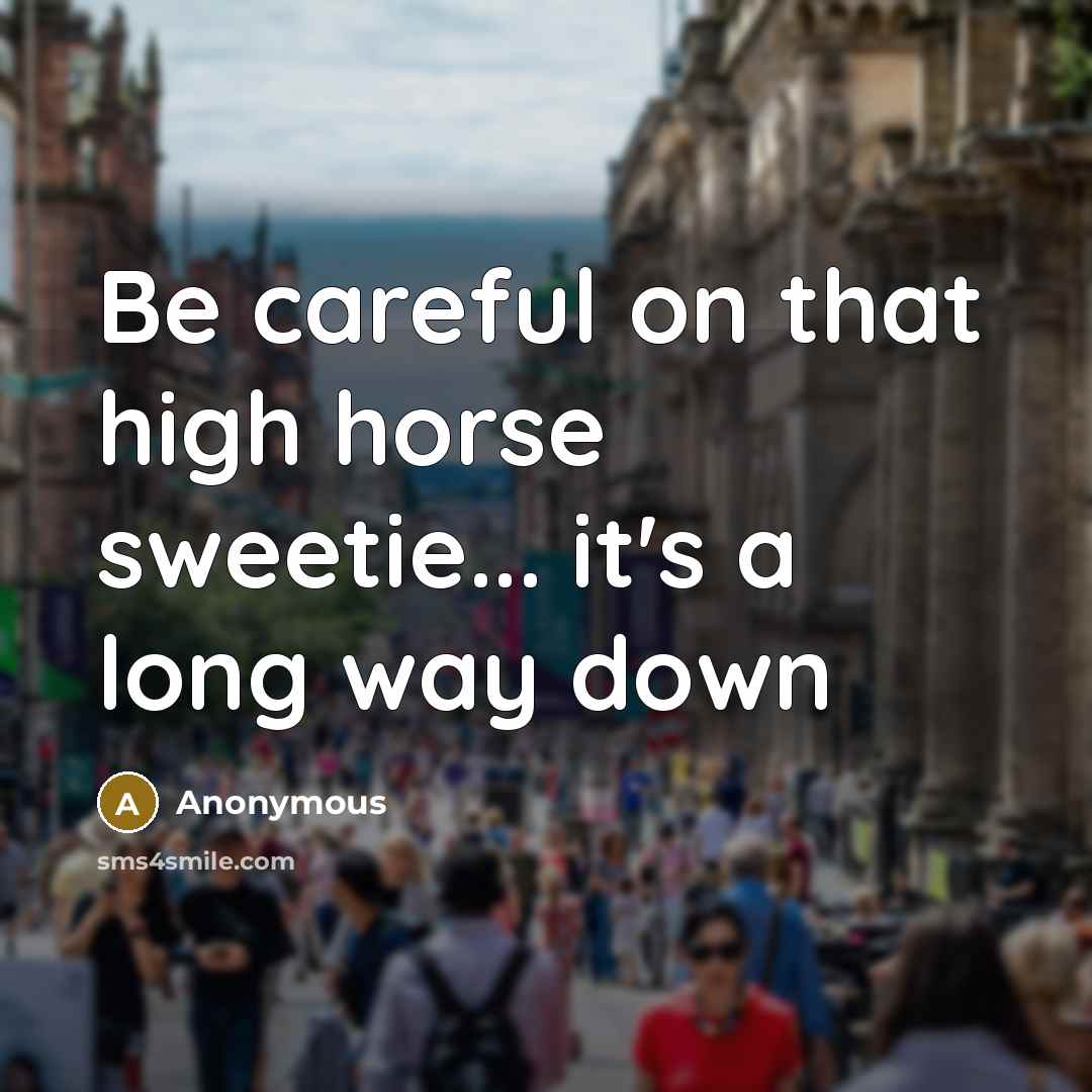 “Be careful on that high horse sweetie... it's a long way down” quote by Anonymous