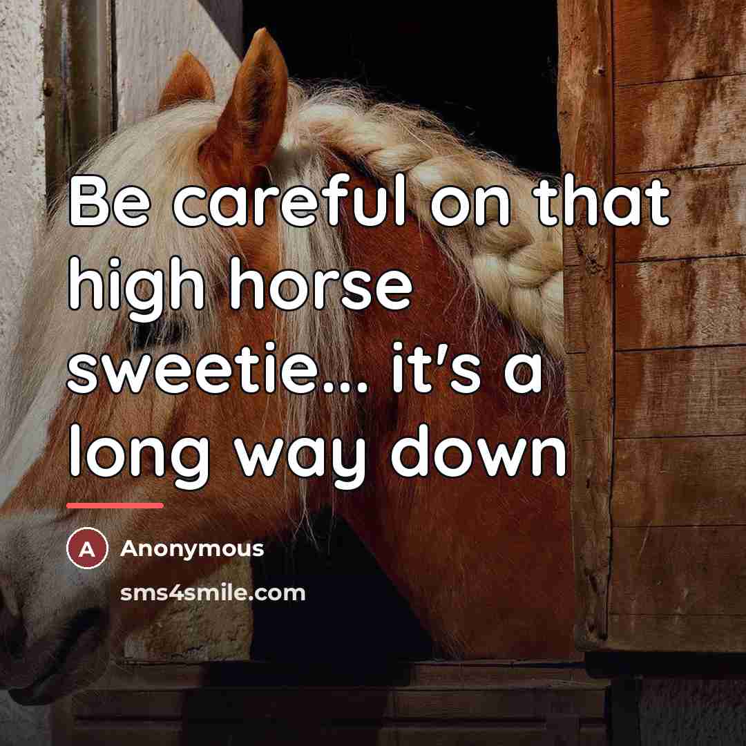 “Be careful on that high horse sweetie... it's a long…” quote by Anonymous