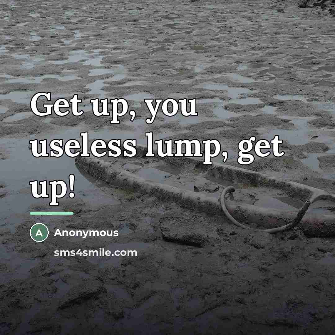 “Get up, you useless lump, get up!…” quote by Anonymous
