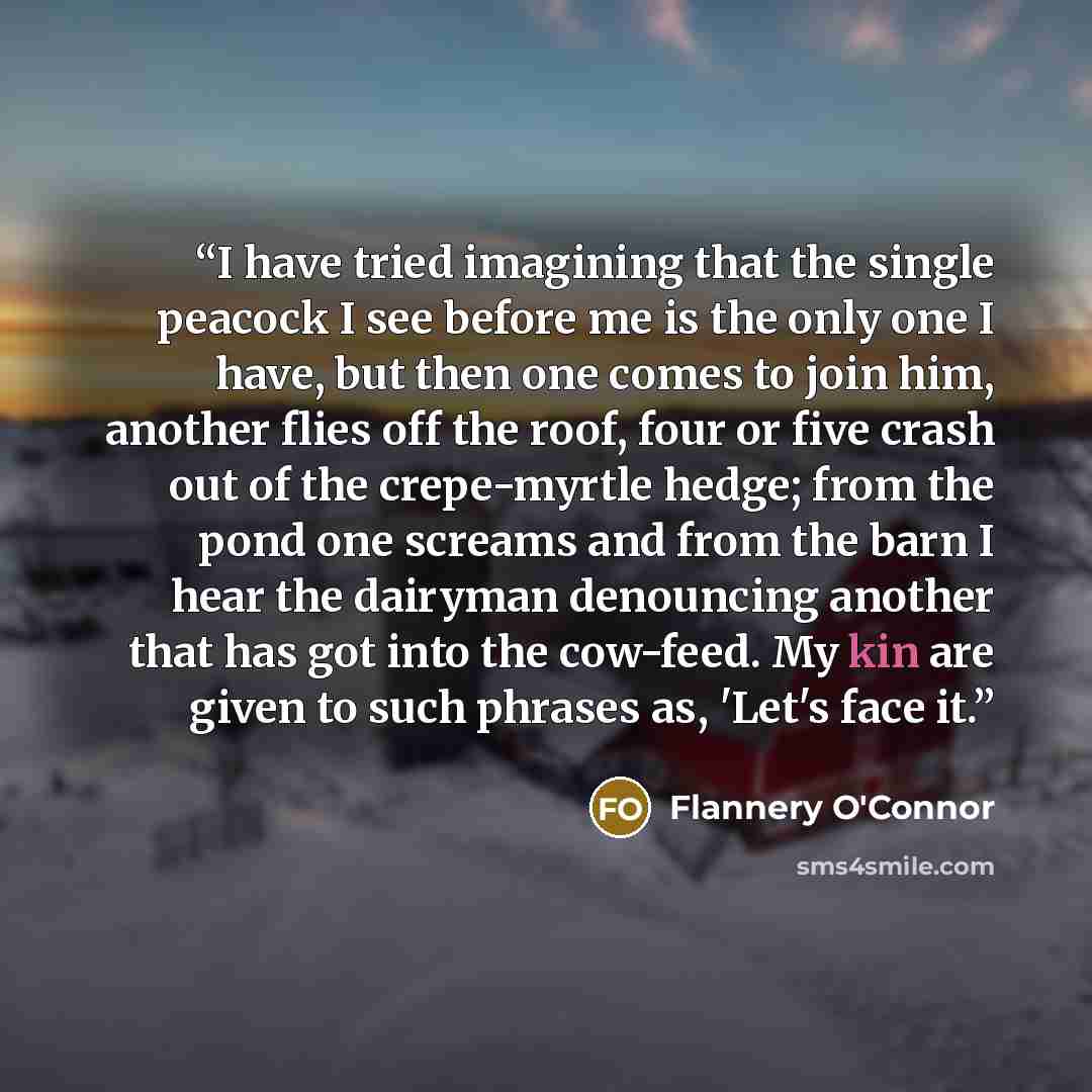 “I have tried imagining that the single peacock I see before me is the only one I have, but then one comes to join him, another flies off the roof, four or five crash out of the crepe-myrtle hedge; from the pond one screams and from the barn I hear the dairyman denouncing another that has got into…” quote by Flannery O'Connor