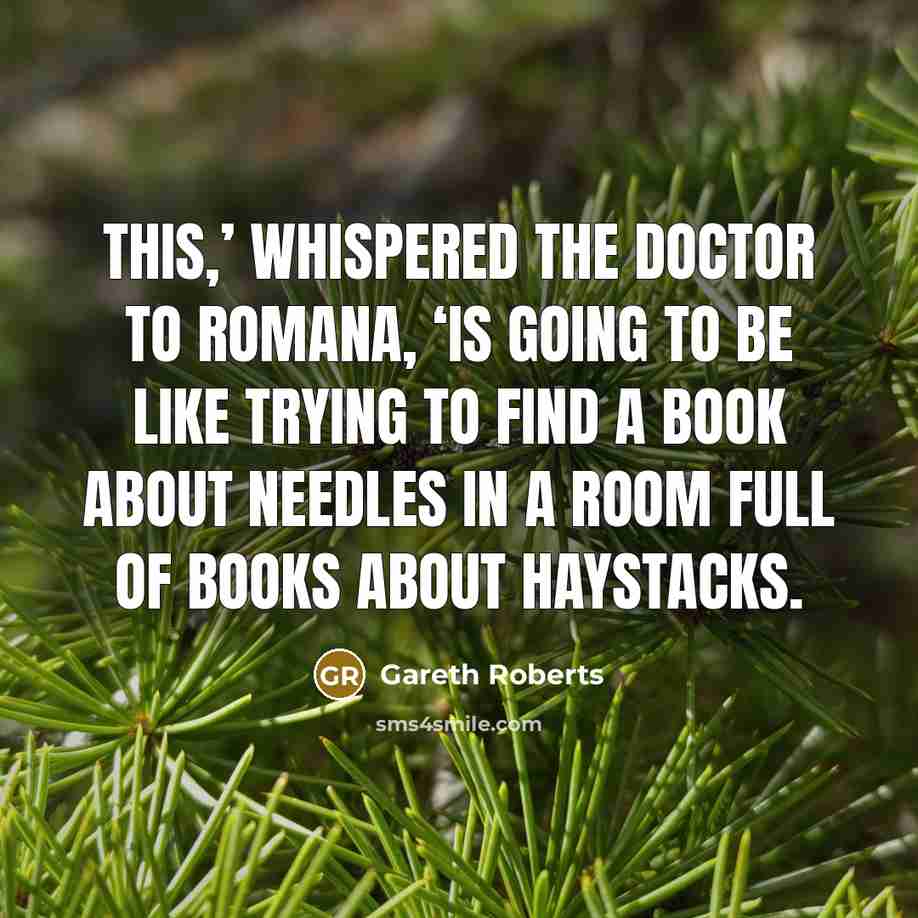 “This,’ whispered the Doctor to Romana, ‘is going to be…” quote by Gareth Roberts