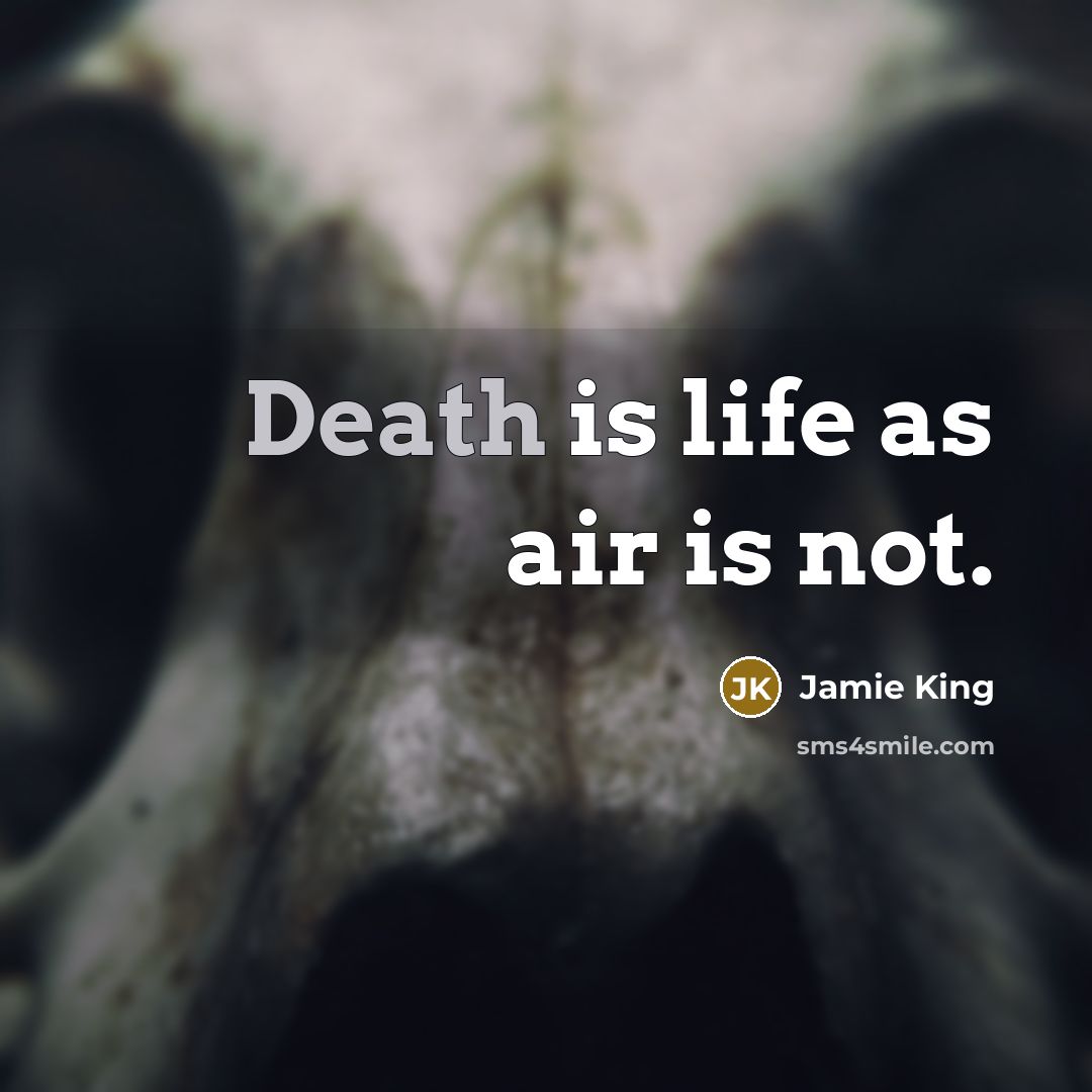“Death is life as air is not.” quote by Jamie King