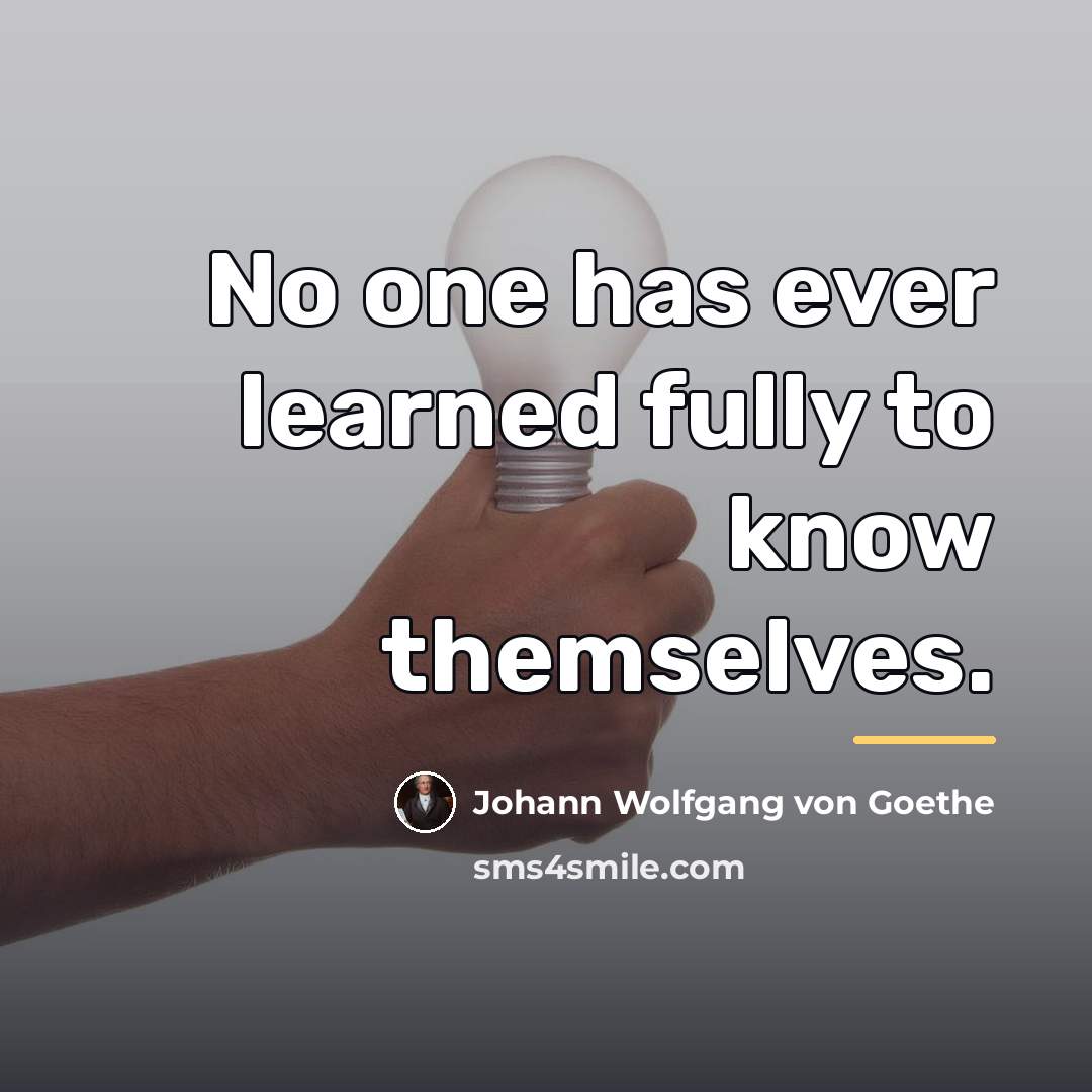 “No one has ever learned fully to know themselves.…” quote by Johann Wolfgang von Goethe
