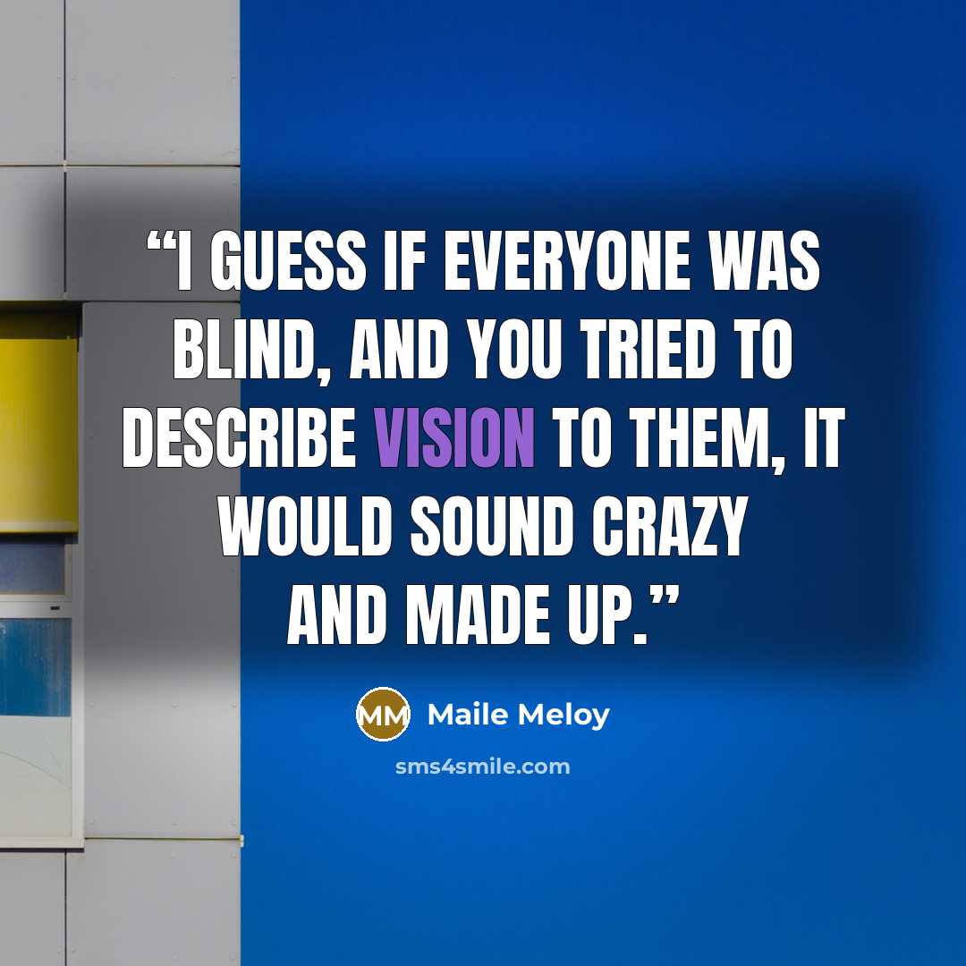 “I guess if everyone was blind, and you tried to describe vision to them, it would sound crazy and made up.” quote by Maile Meloy