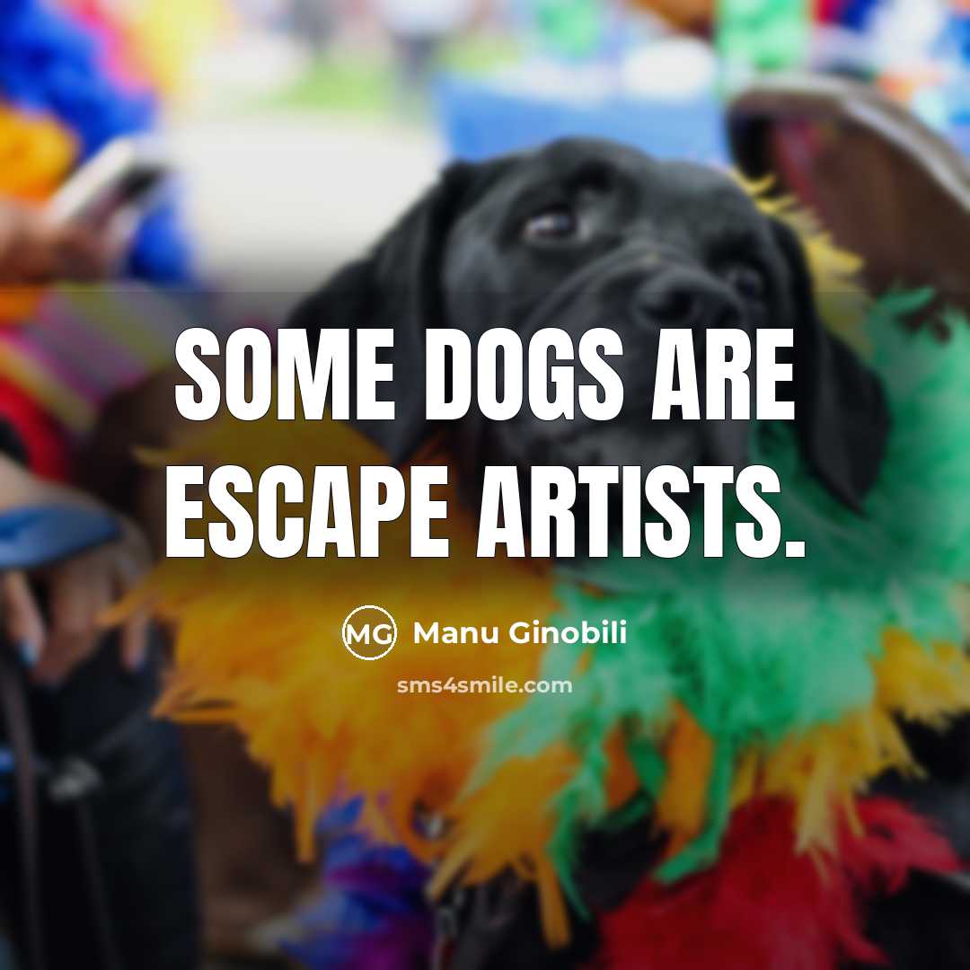 “Some dogs are escape artists.…” quote by Manu Ginobili