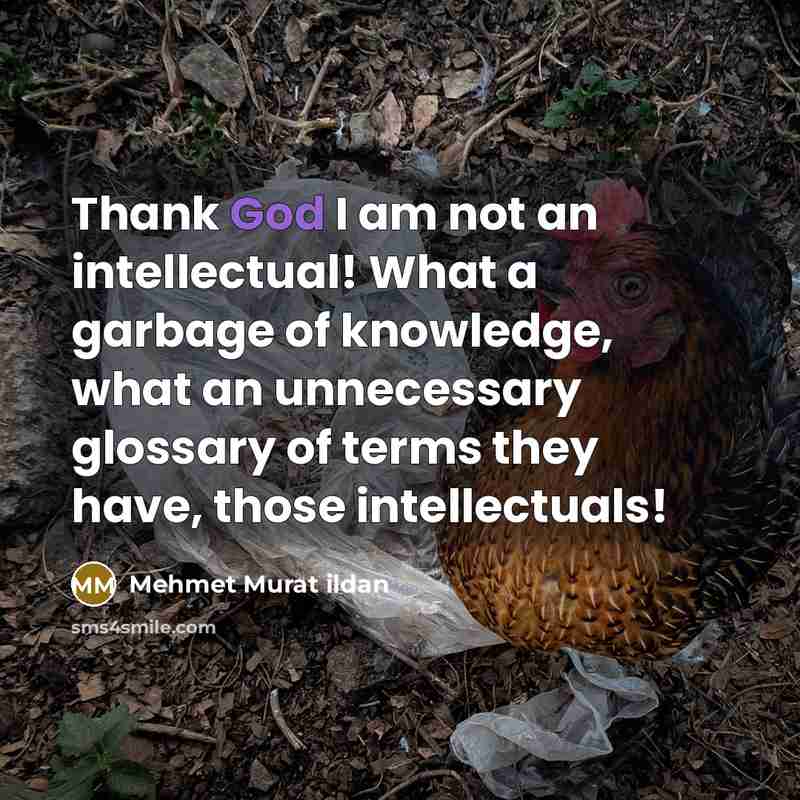 “Thank God I am not an intellectual! What a garbage…” quote by Mehmet Murat Ildan