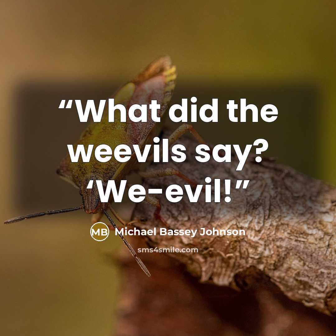 “What did the weevils say? ‘We-evil!” quote by Michael Bassey Johnson