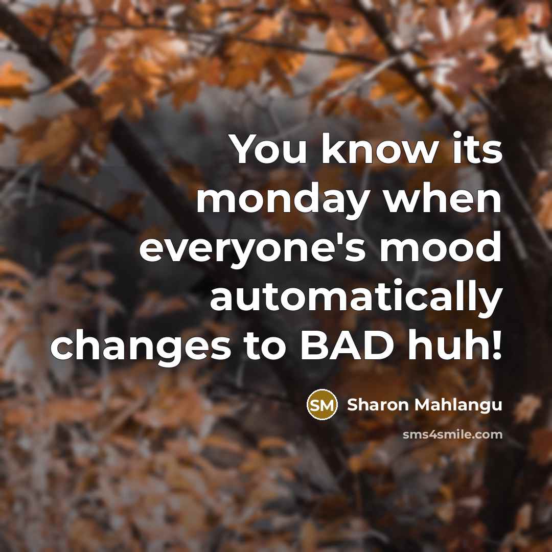 “You know its monday when everyone's mood automatically changes to BAD huh!” quote by Sharon Mahlangu