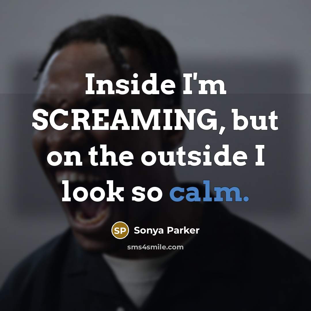 “Inside I'm SCREAMING, but on the outside I look so…” quote by Sonya Parker