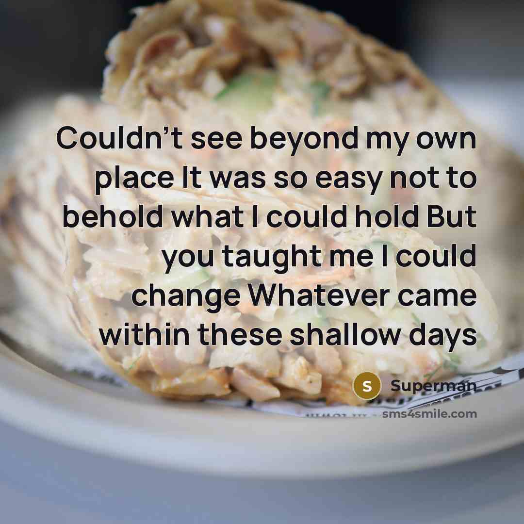 “Couldn't see beyond my own place It was so easy…” quote by Superman