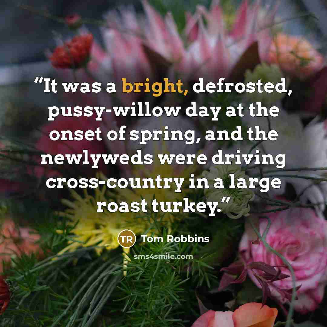 “It was a bright, defrosted, pussy-willow day at the onset of spring, and the newlyweds were driving cross-country in a large roast turkey.” quote by Tom Robbins