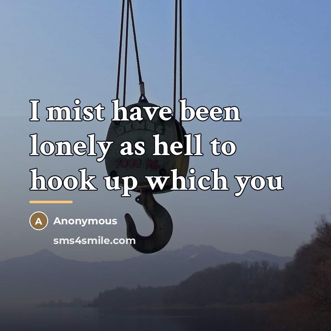 “I mist have been lonely as hell to hook up…” quote by Anonymous