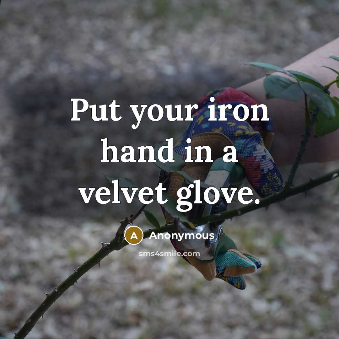 “Put your iron hand in a velvet glove.…” quote by Anonymous