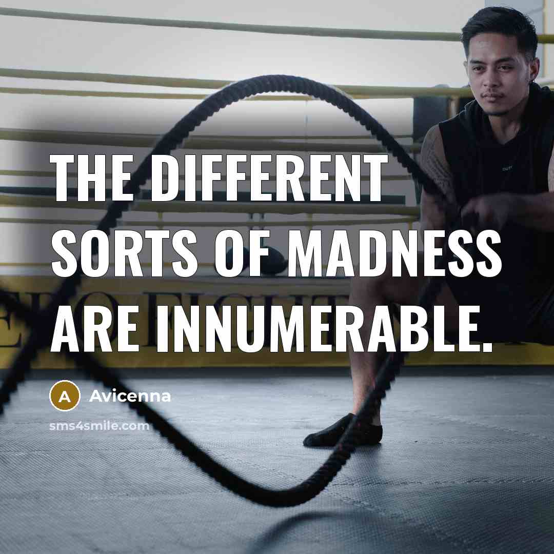 “The different sorts of madness are innumerable.…” quote by Avicenna