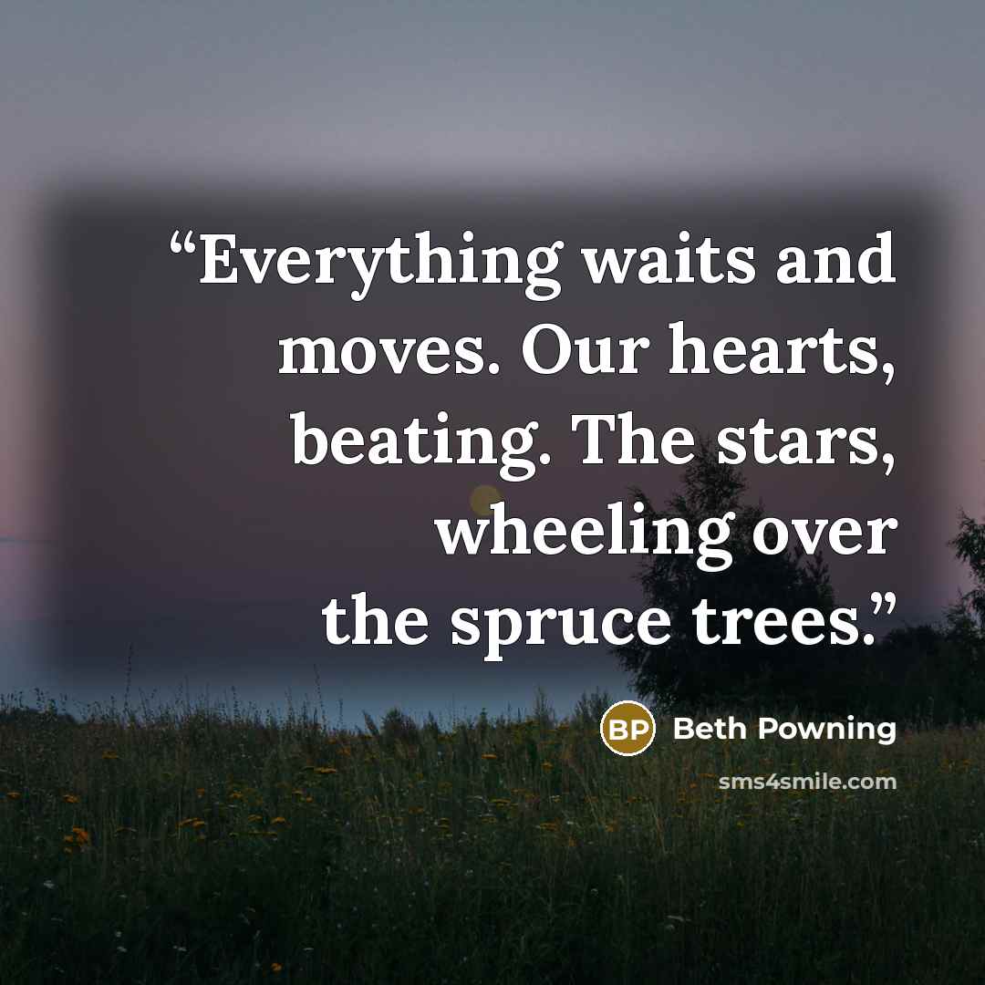 “Everything waits and moves. Our hearts, beating. The stars, wheeling over the spruce trees.” quote by Beth Powning
