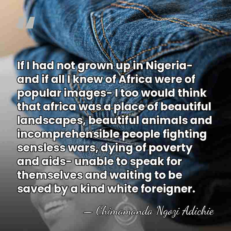 If I had not grown up in Nigeria- and if all I&hellip; - Chimamanda Ngozi Adichie