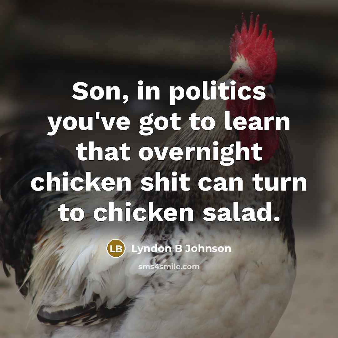 “Son, in politics you've got to learn that overnight chicken shit can turn to chicken salad.” quote by Lyndon B Johnson